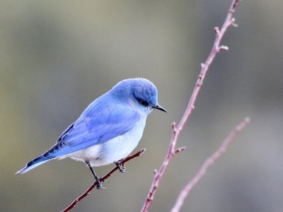 john-duncan-wFdCFmY-JS4-unsplash john duncan wFdCFmY JS4 unsplash