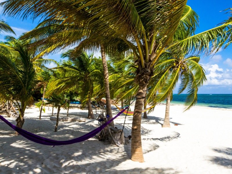 Xamach Dos Xamach Dos