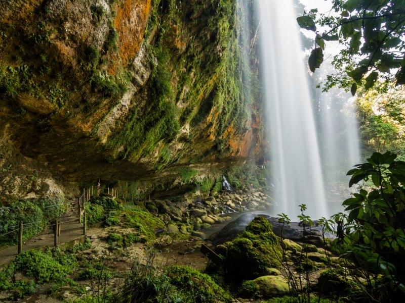 Highlights von Yucatan und Chiapas (2) Highlights von Yucatan und Chiapas (2)