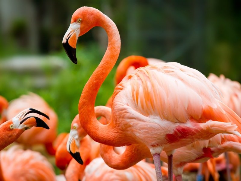 Highlights von Yucatan und Chiapas (3) Highlights von Yucatan und Chiapas (3)